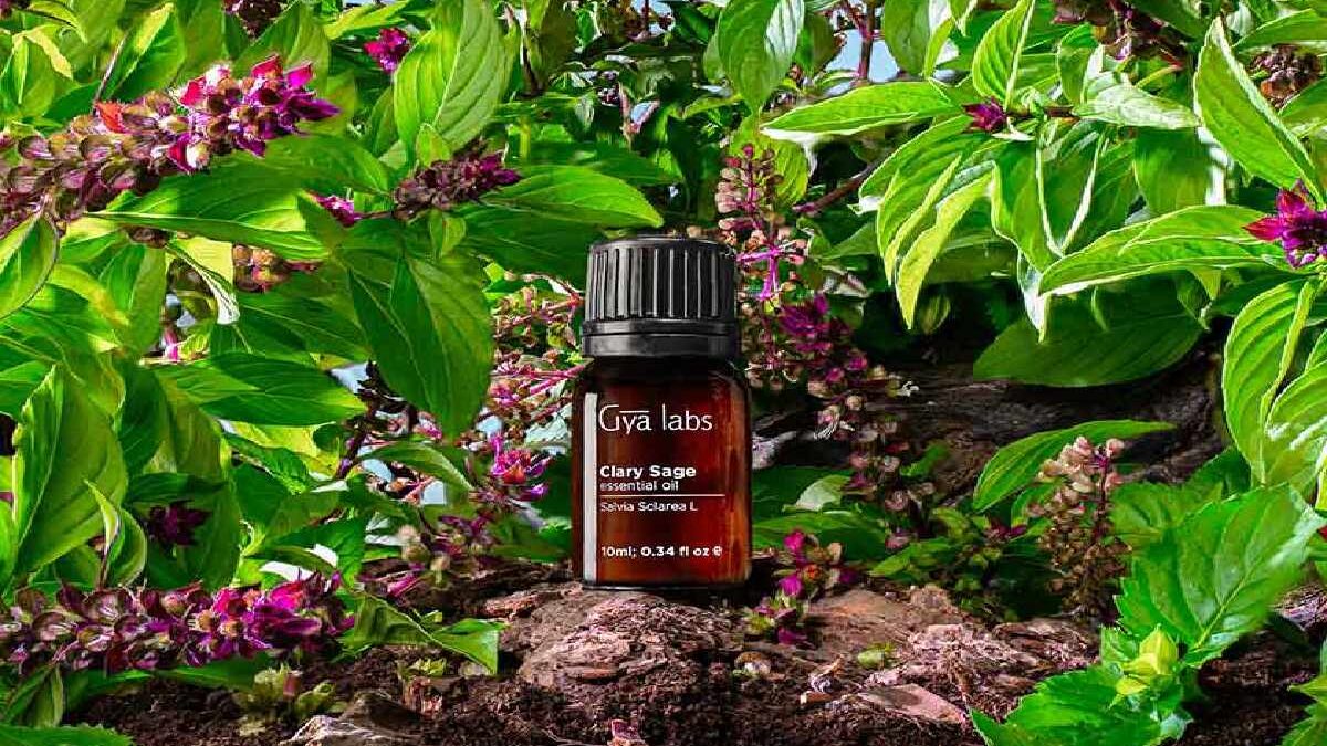 Clary Sage essential oil benefits